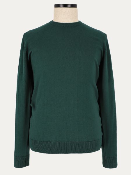 Sweter męski BASIC POLLUX zielony